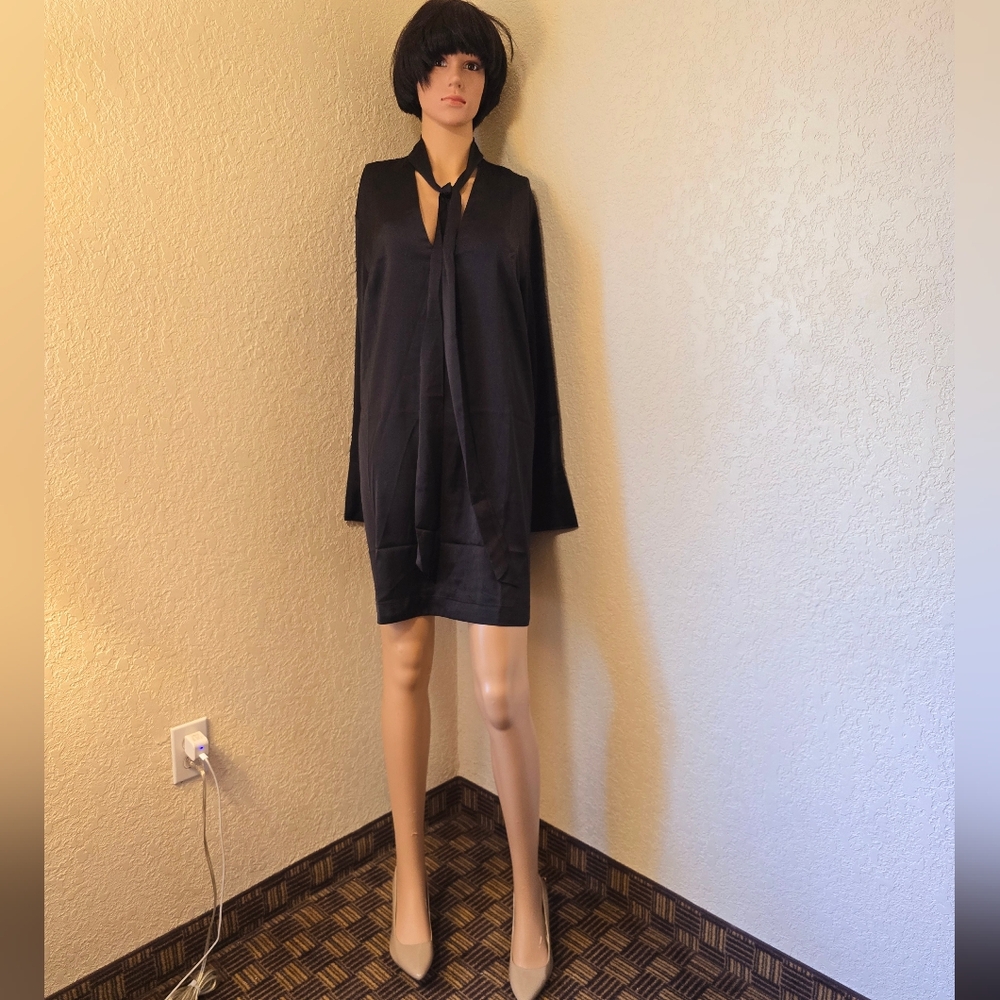 H&M Black Long Sleeve Plunge Sheath Dress